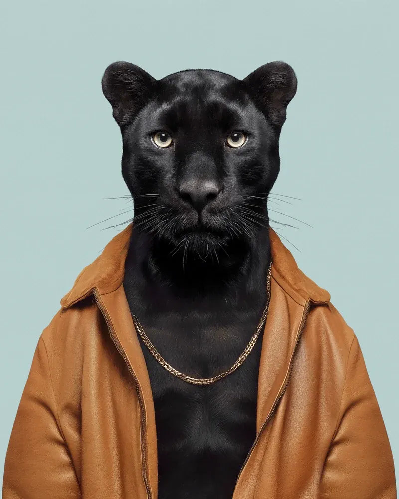 Cesar — Black panther